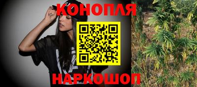 гидра Гай