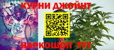 гидра Гай
