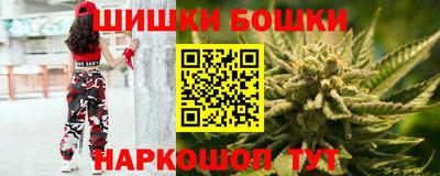 гидра Гай