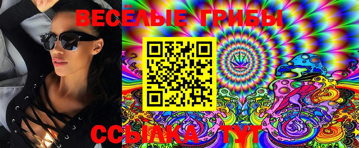 Псилоцибиновые грибы Psilocybine cubensis Серпухов